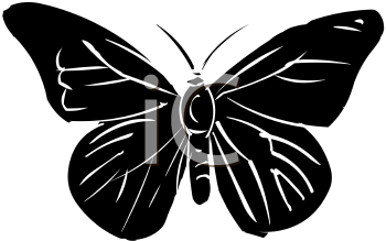 Insect Clipart