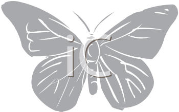Insect Clipart