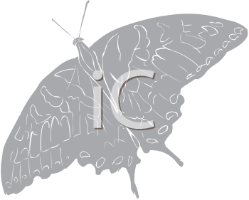 Insect Clipart
