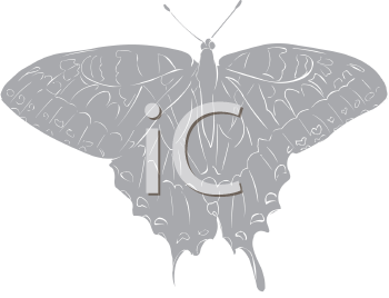 Insect Clipart