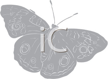 Insect Clipart
