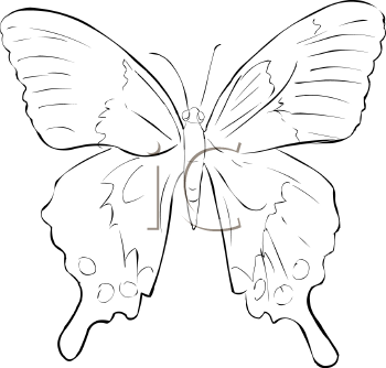 Insect Clipart