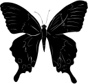 Insect Clipart