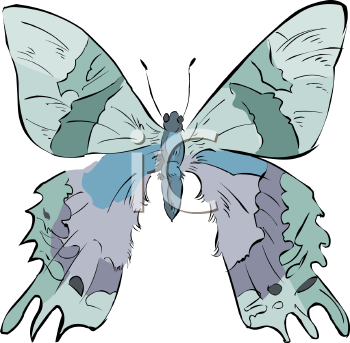 Insect Clipart