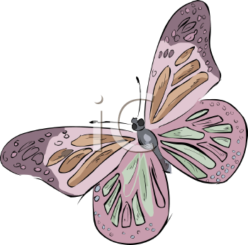 Insect Clipart