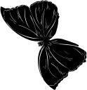 Insect Clipart