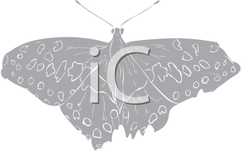 Insect Clipart