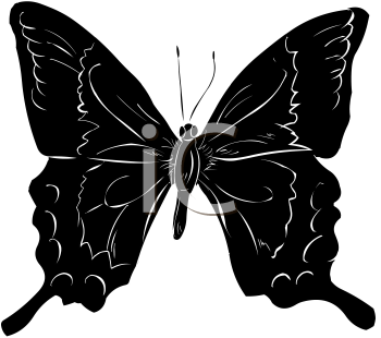 Insect Clipart