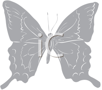 Insect Clipart