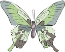 Insect Clipart