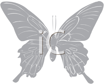 Insect Clipart