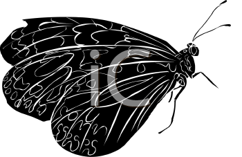 Insect Clipart