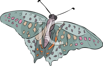 Insect Clipart