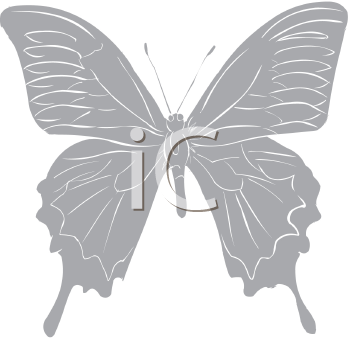 Insect Clipart