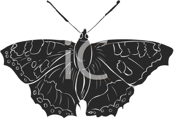Insect Clipart