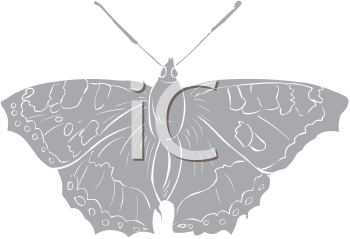 Insect Clipart