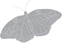 Insect Clipart