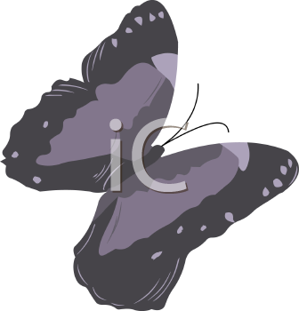 Insect Clipart