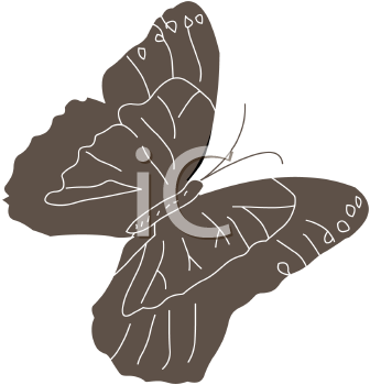 Insect Clipart