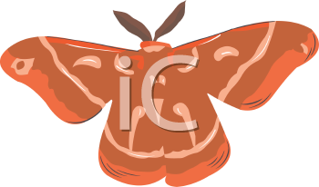 Insect Clipart