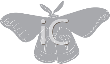Insect Clipart