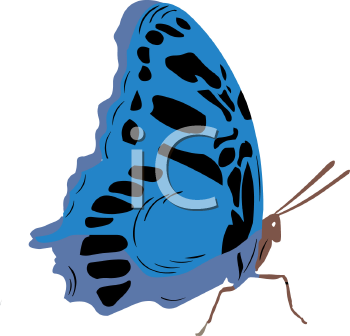 Insect Clipart