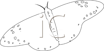 Insect Clipart