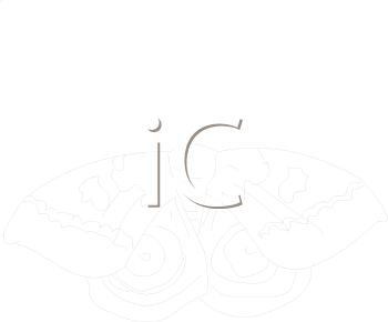Insect Clipart