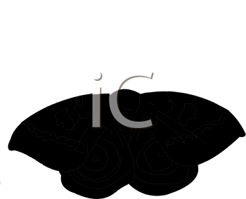 Insect Clipart