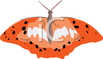 Insect Clipart