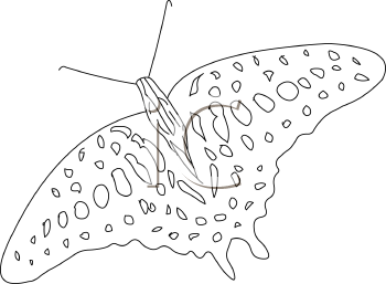 Insect Clipart