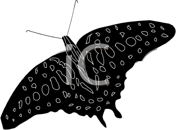 Insect Clipart