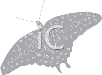Insect Clipart