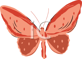 Insect Clipart