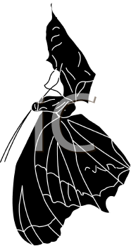 Insect Clipart