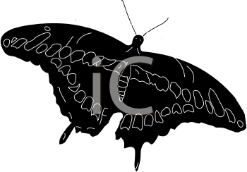 Insect Clipart