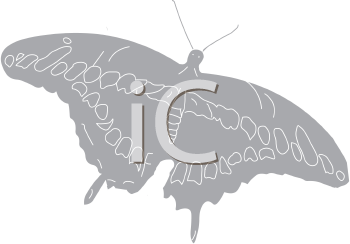 Insect Clipart