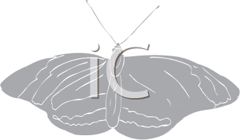 Insect Clipart