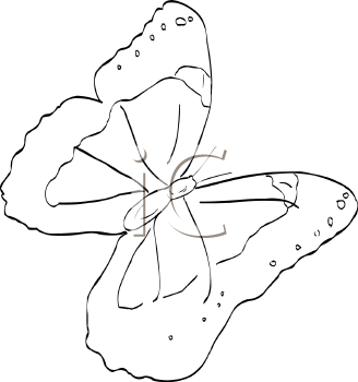 Insect Clipart