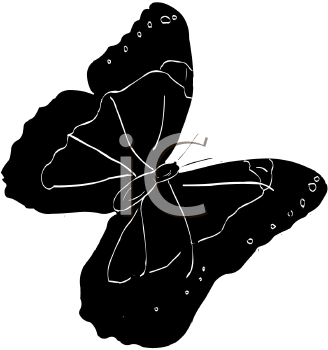 Insect Clipart