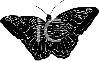 Insect Clipart