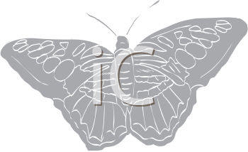 Insect Clipart