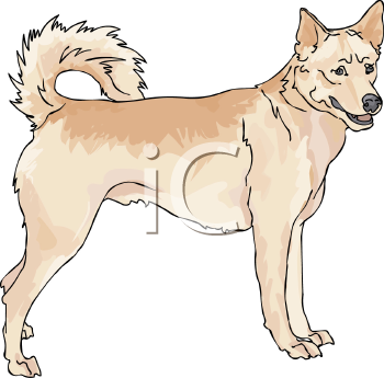 Dog Clipart
