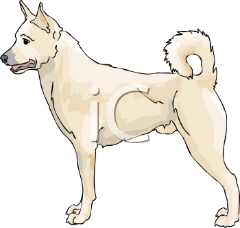 Pet Clipart
