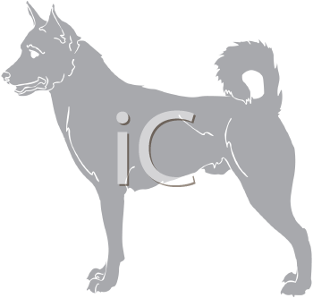 Pet Clipart