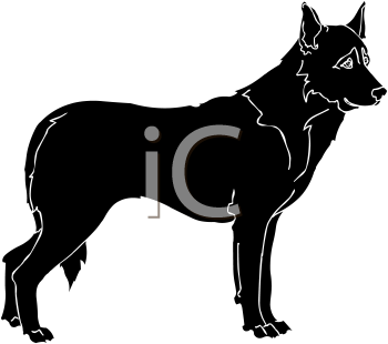 Pet Clipart