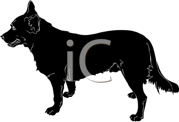 Pet Clipart