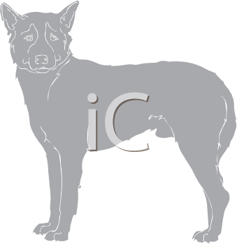 Pet Clipart