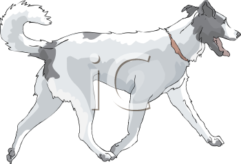 Dog Clipart