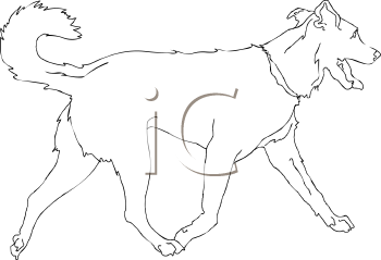 Dog Clipart
